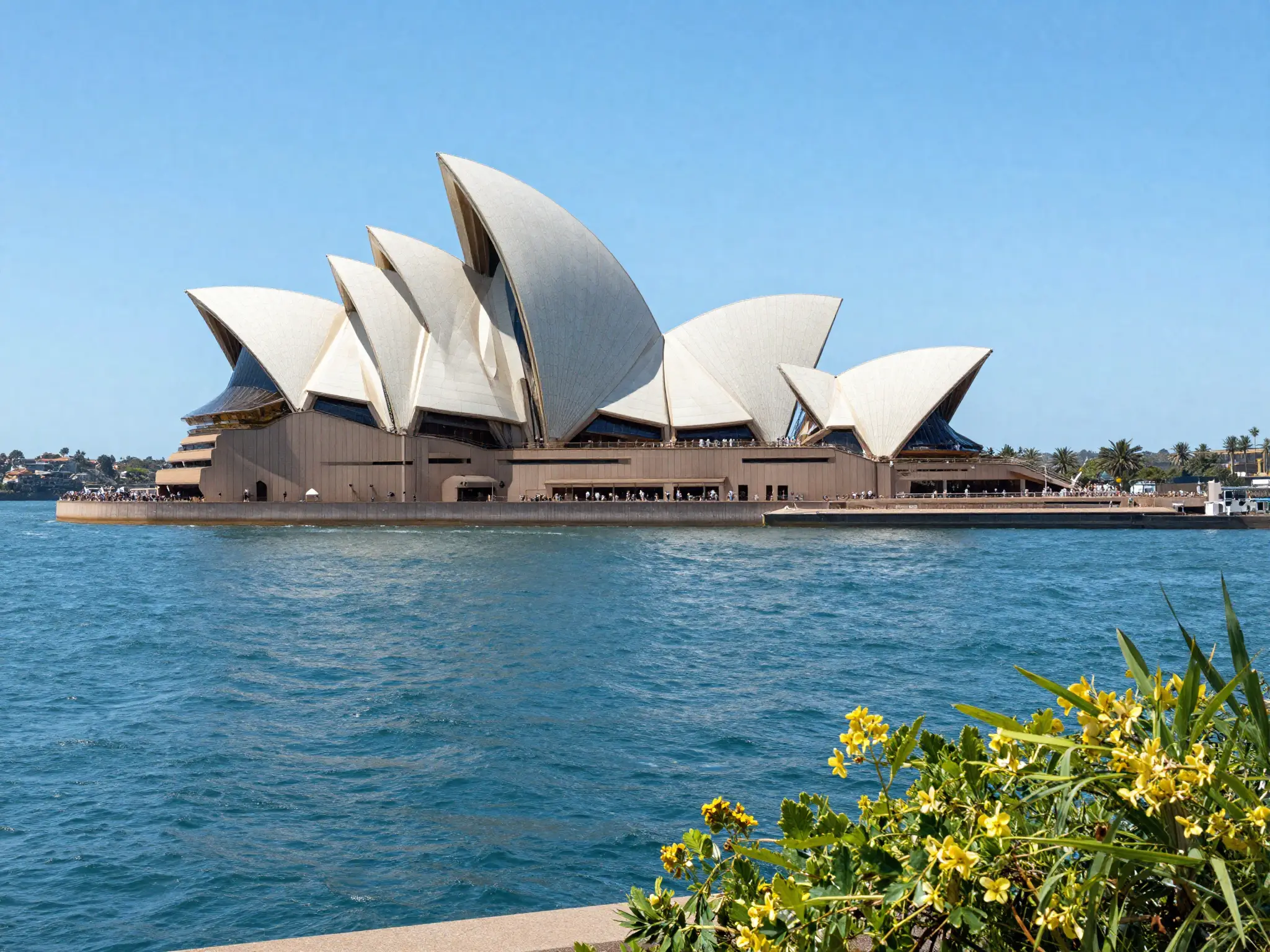 Study in Australia — Sydney Opera House
